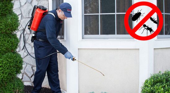 Yeniçamlık Akrep İlaçlama böcek ilaçlama ve haşere kontrolü — ilaclama-tr.com
